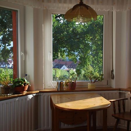 Rotes Haus Ueber Den Weinbergen Appartement Konstanz Buitenkant foto